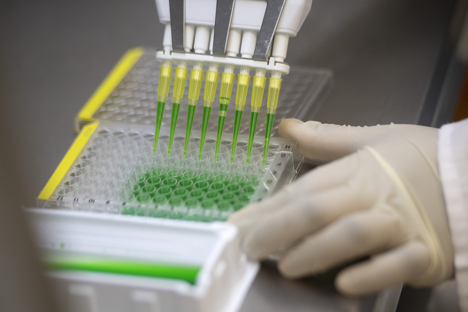 mRNA vaccine technology transfer hub