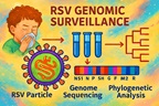 Illustration of RSV genomic surveillance: a sneeze sample processed into test tubes, an RSV particle, color-coded genome segments, and a resulting phylogenetic tree.