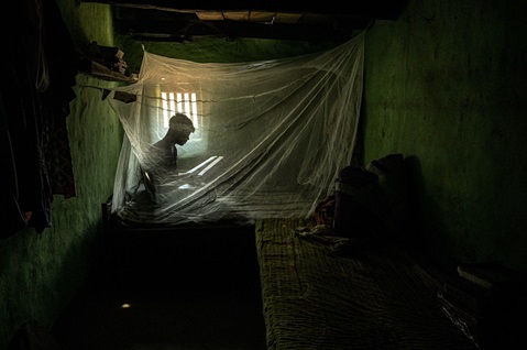 EPI-WIN digest 12 - Dengue: current epidemiological situation and response
