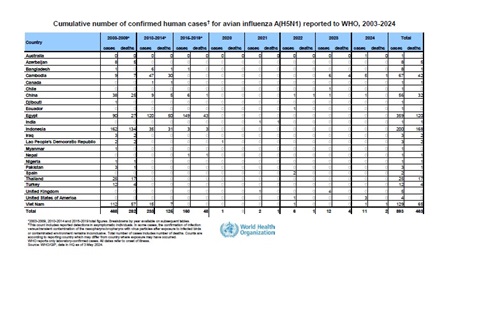 Cumulative number of confirmed human cases for avian influenza A(H5N1) reported to WHO, 2003-2024, 7 June 2024