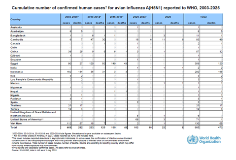 Cumulative number of confirmed human cases for avian influenza A(H5N1) reported to WHO, 2003-2025, 1 July 2025