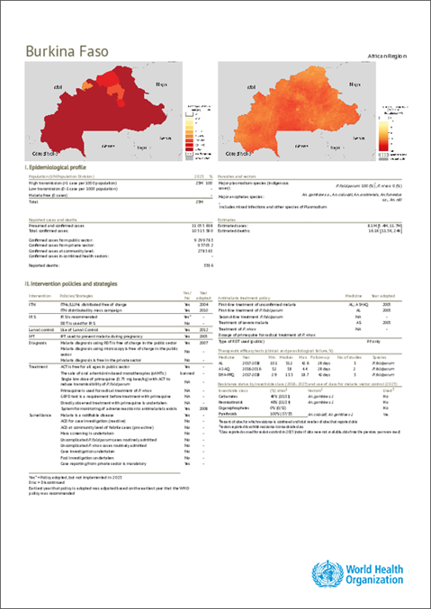 Malaria 2024 Burkina Faso country profile