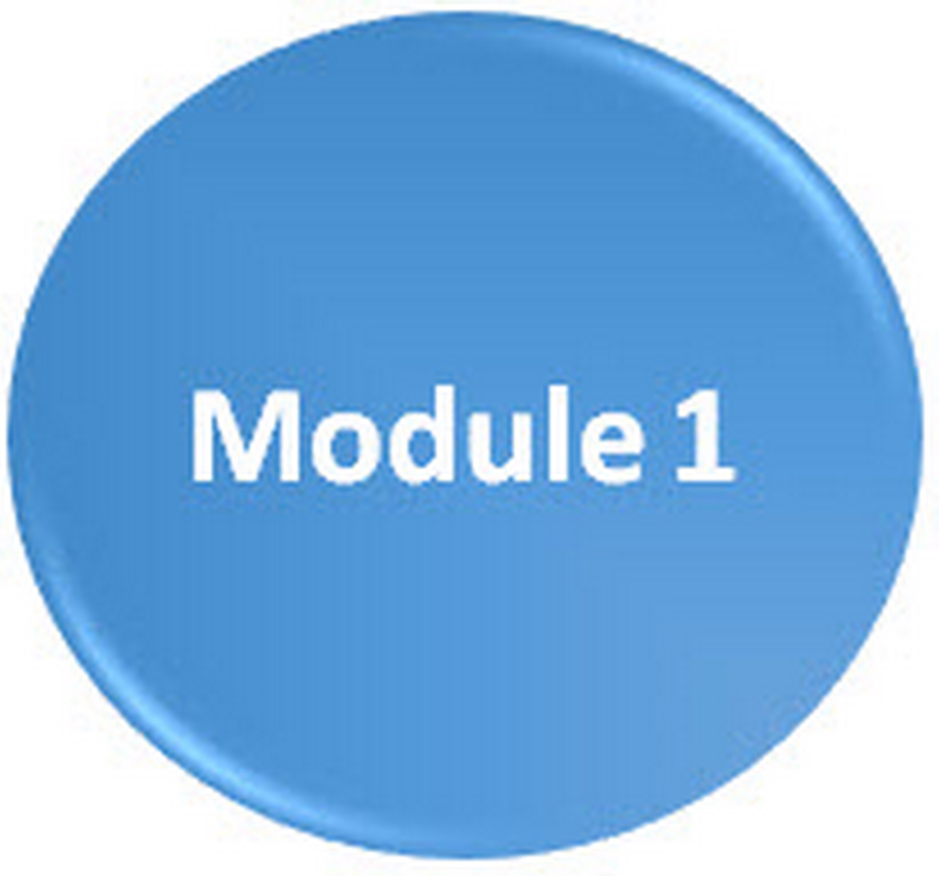 SHA course Module 1 icon