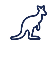 An icon depicting terminology update for kmc