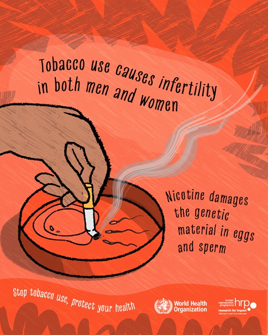 Tobacco use causes infertility. Nicotine damages the genetic material in eggs and sperm. Stop tobacco use, protect your health.
