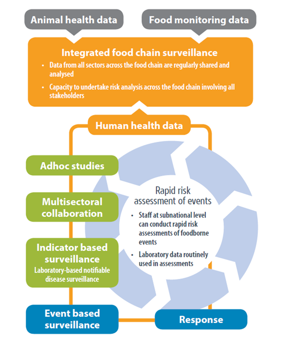 Fig 1_foodborne surveillance system