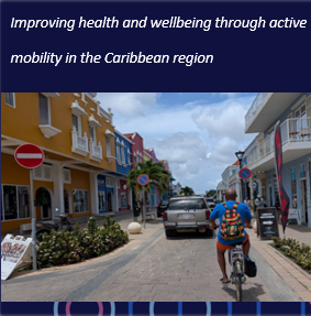 Bonaire case study thumbnail