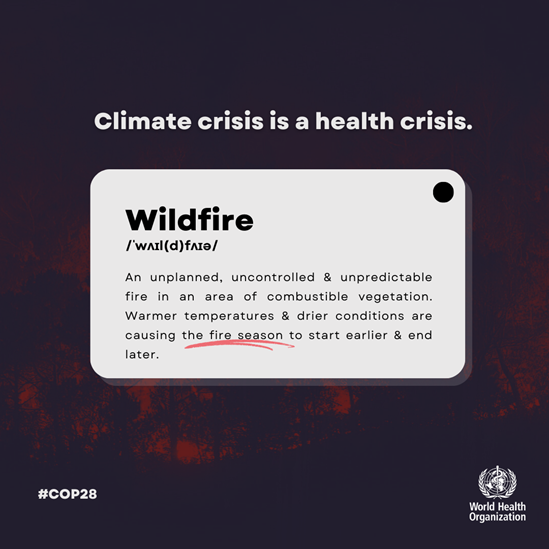 climate-dictionnary-wildfire social media tile