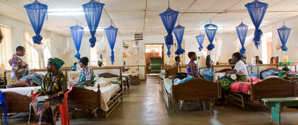 One Health Festival event: Climate-resilient and low carbon health systems as a practical One Health solution