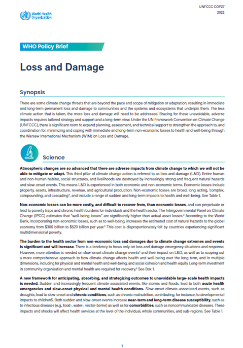 WHO Policy Brief: Loss and Damage