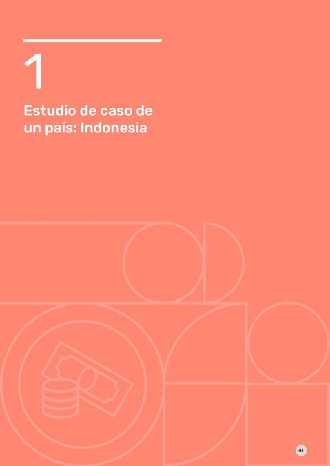 Estudio de caso de un pais: Indonesia