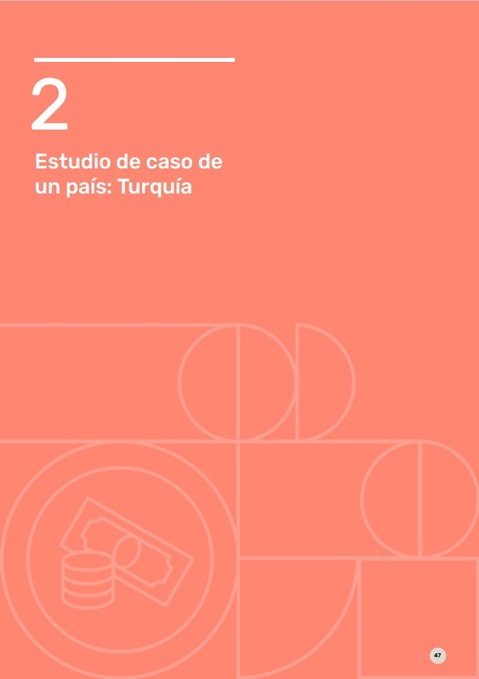 Estudio de caso de un pais: Turquía