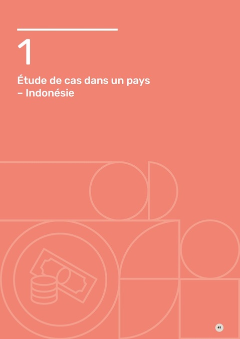 Étude de cas dans un pays: Indoésie