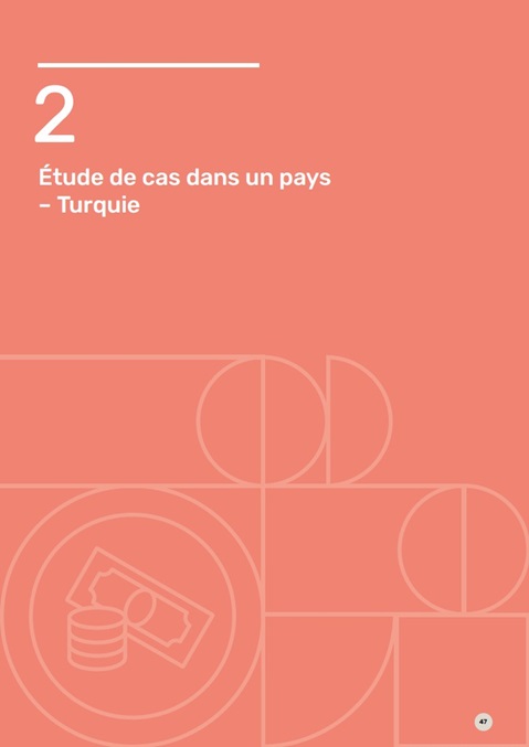 Étude de cas dans un pays: Turquie