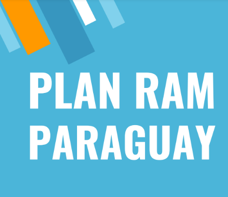 Paraguay: National action plan on antimicrobial resistance (Spanish)