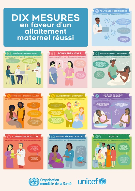French BFHI the Ten steps to succesful breastfeeding poster