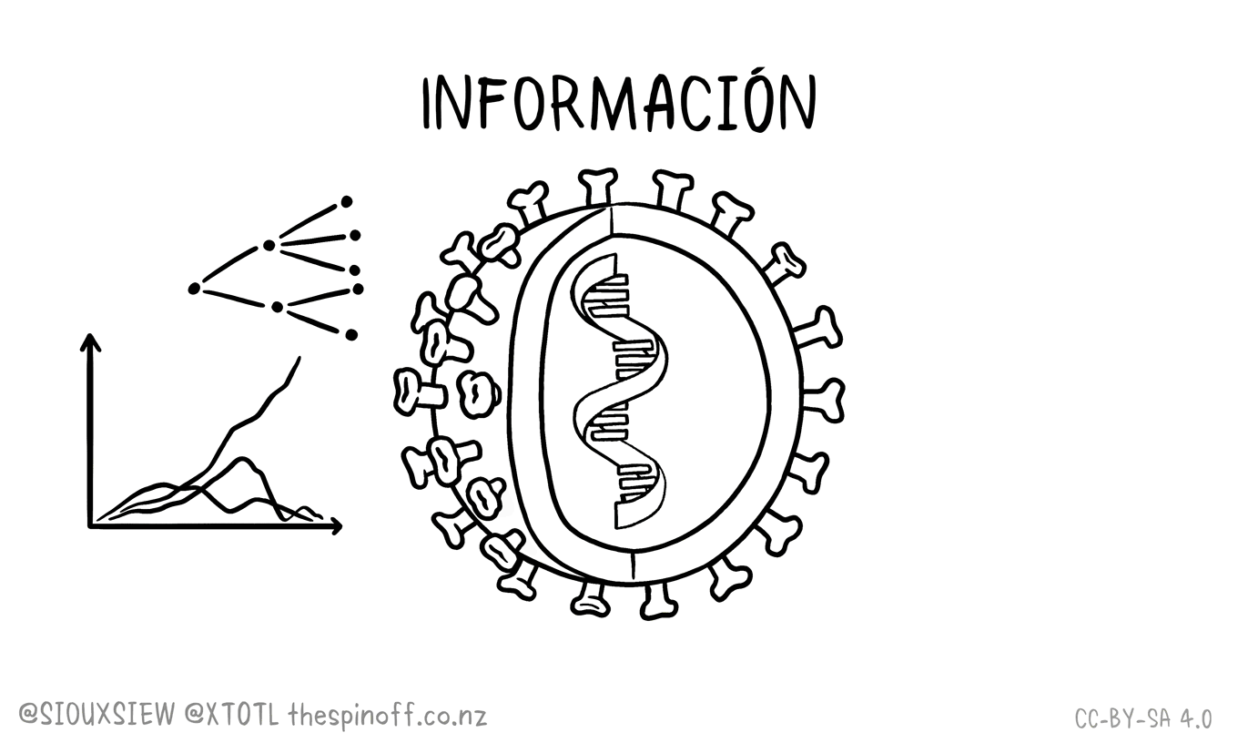who-covid-19-misinformation-disinformation-es