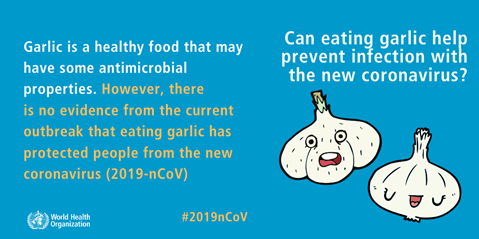 COVID-19 infographic garlic