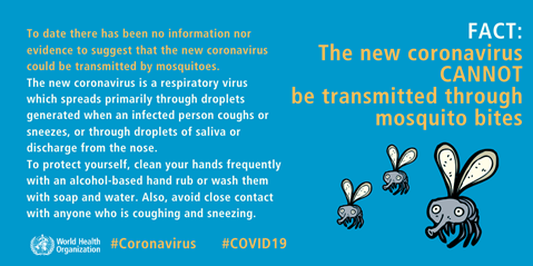 COVID-19 infographic mosquito