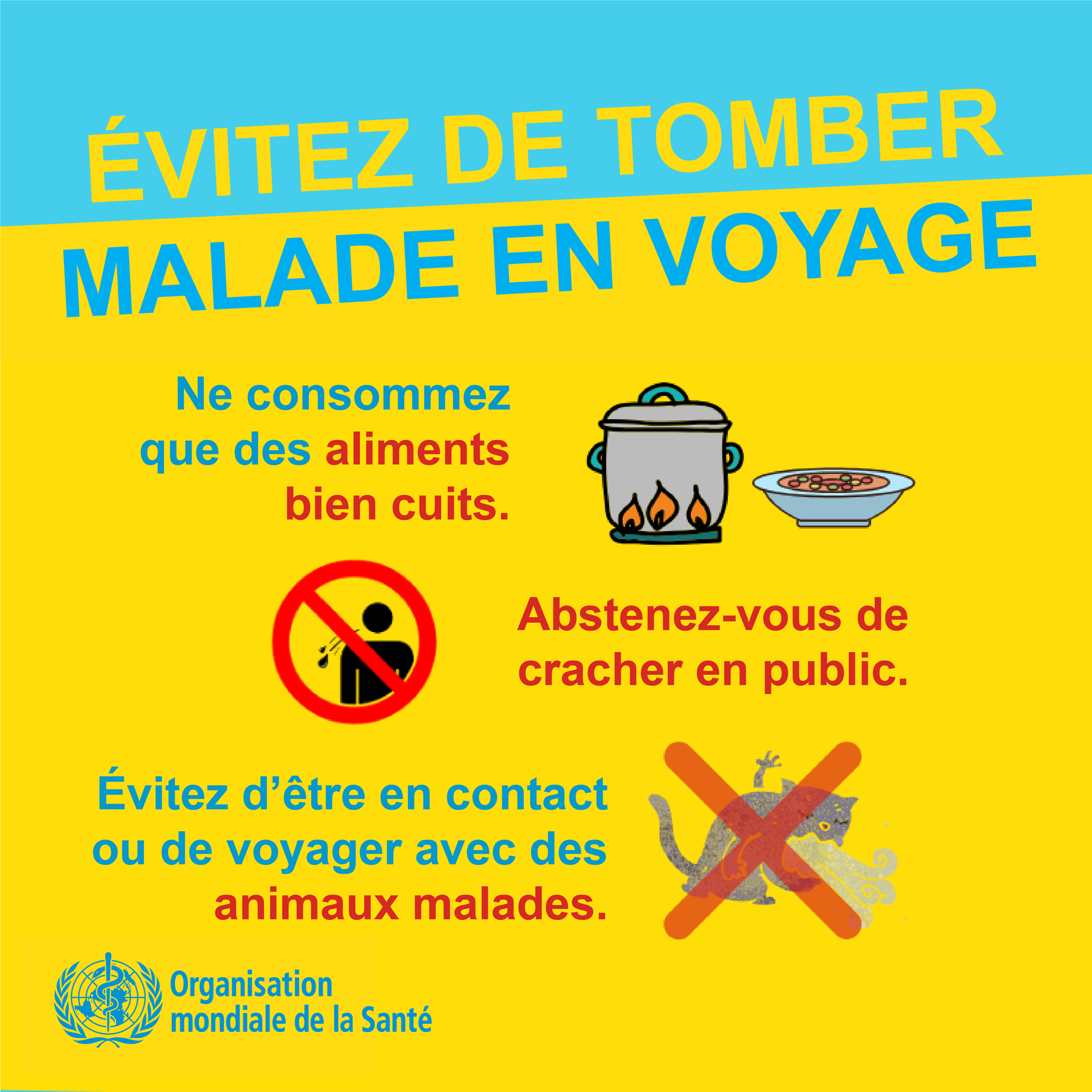 Evitez de tomber malade en voyage 5