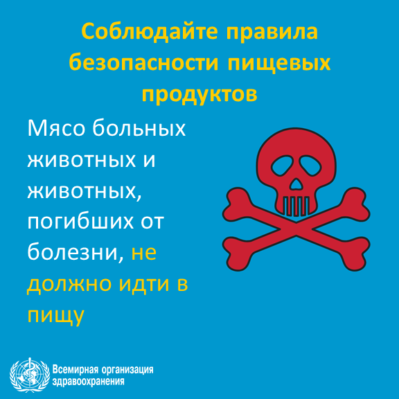 7FoodSafety-Sick&dead animal ru