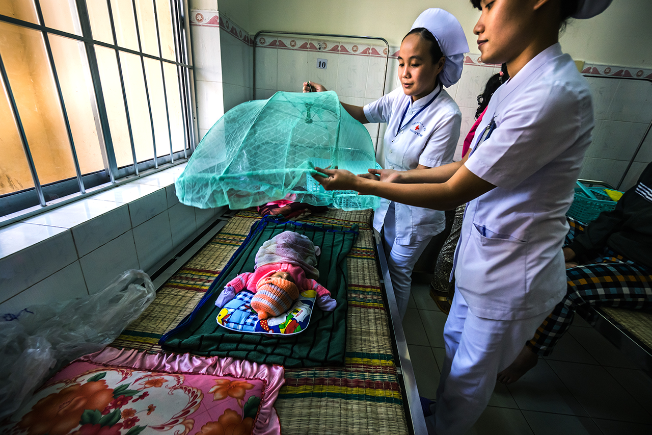 Yellow fever vaccine