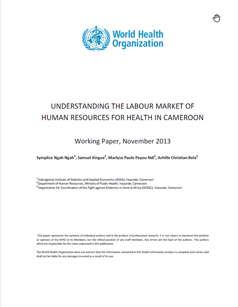 Understanding the Labour Market of Human Resources for Health in Cameroon