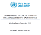 2013 health labour market Sudan cover