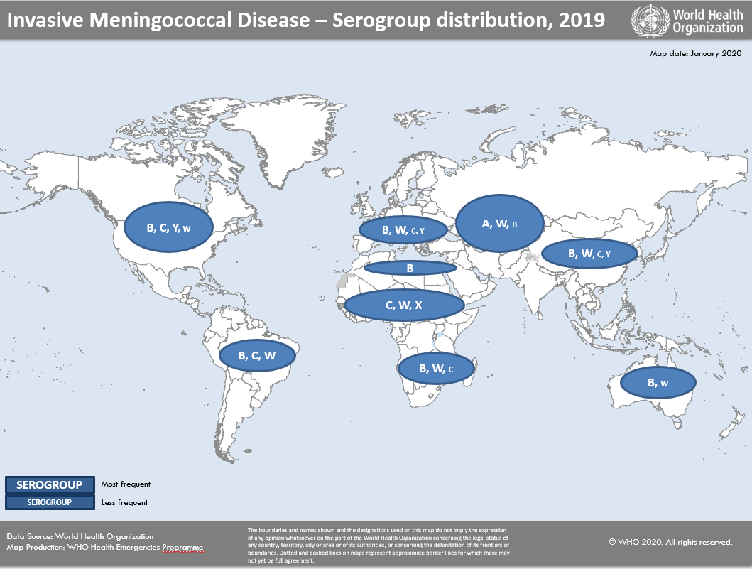 map-serogroup-distribution-2019