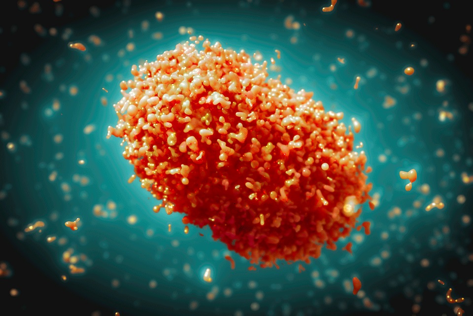 Ilustrasi virus Mpox