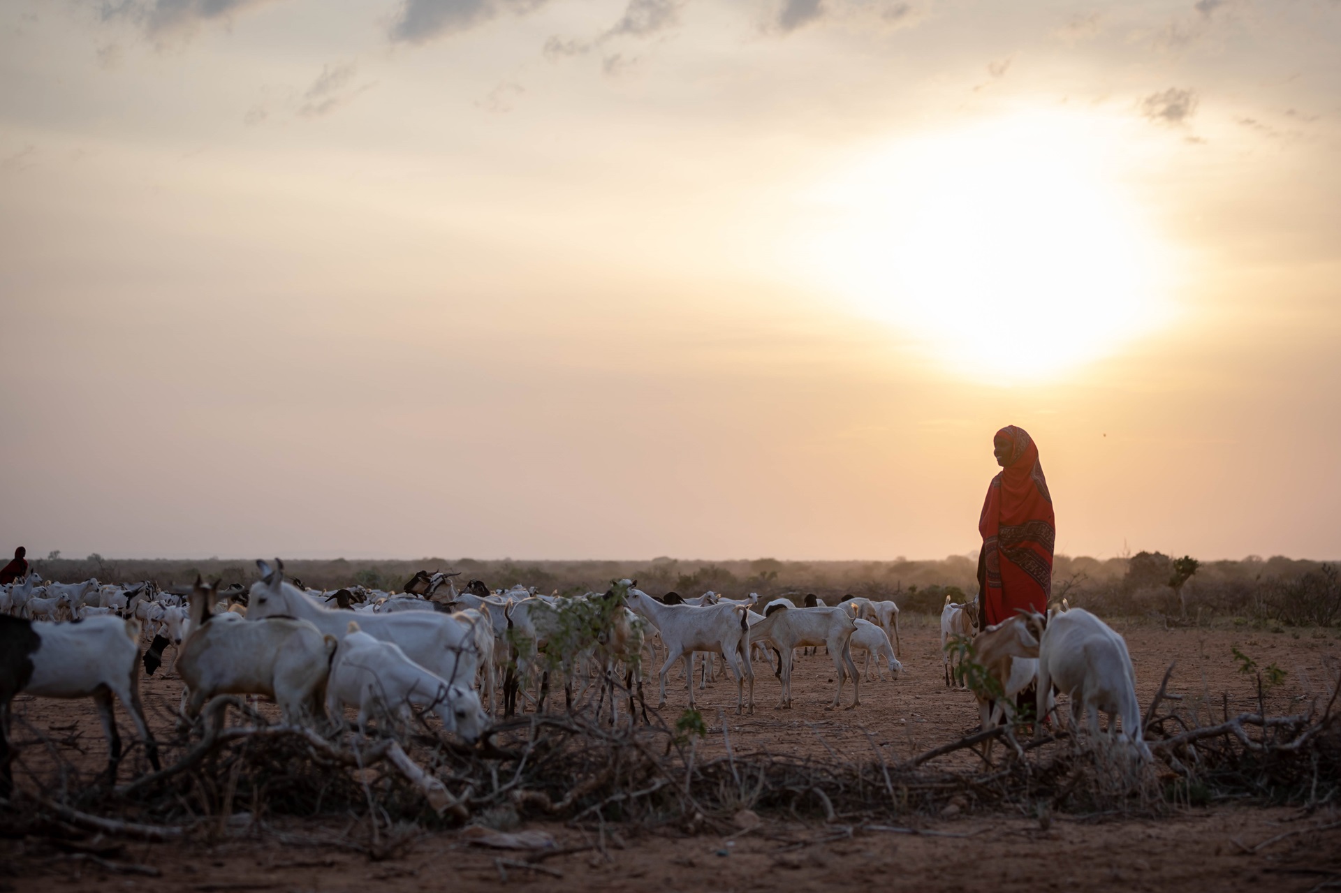 Drought in Somali region Credit UNICEF Mulugeta Ayene