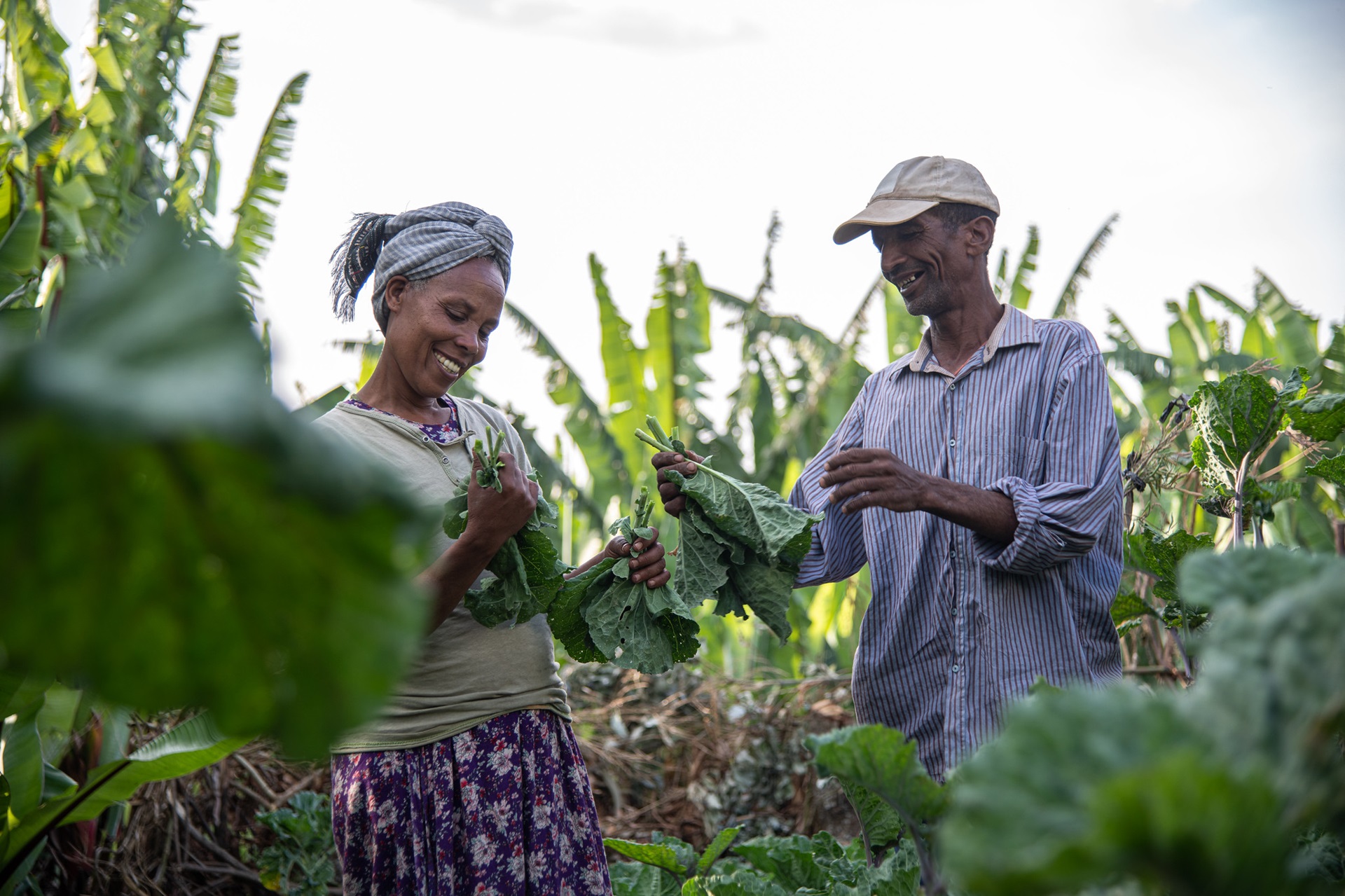 Family Lombamo in their garden Ethiopia Credit ILRI Georgina Smith