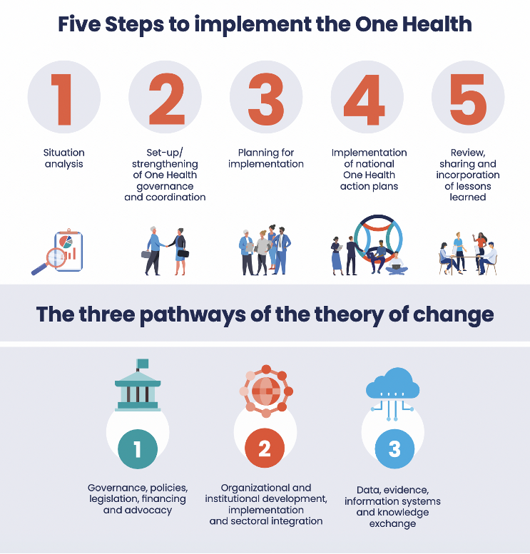 The Quadripartite launches a guide to support countries implement One  Health approach