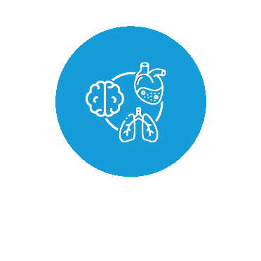 Icon tool 2 updated