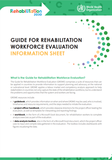 Guide for rehabilitation workforce evaluation – information sheet