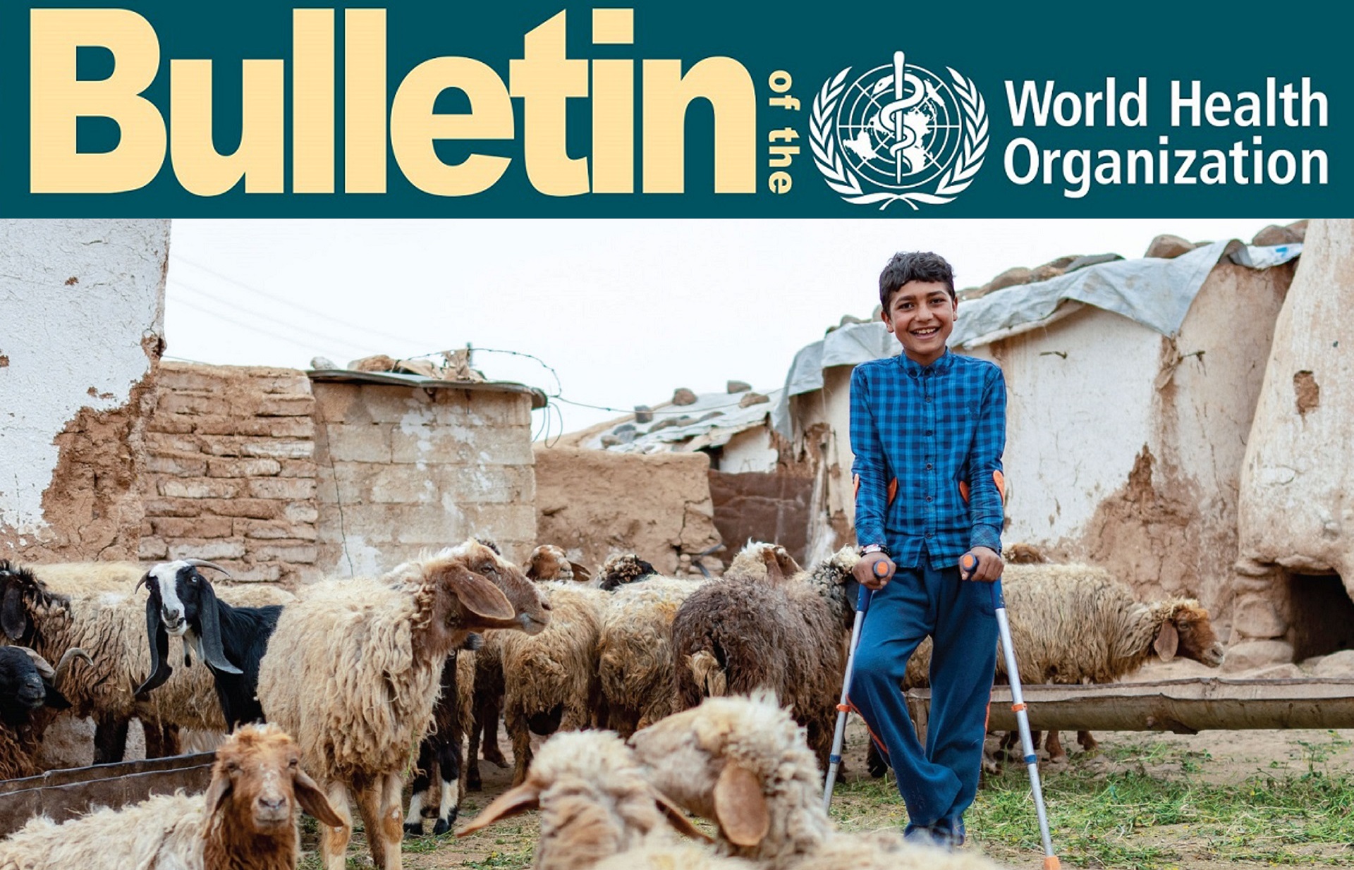 key-message-3 A boy who lost his right left after stepping on a mine, stands before his family’s home surrounded by sheep
