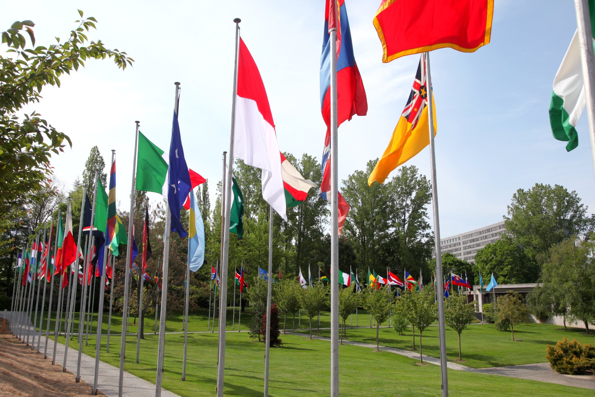 Nation flags of WHO Member States.