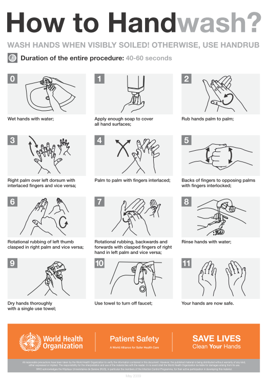 7 Steps of Hand Washing: Your Key to Cleanliness