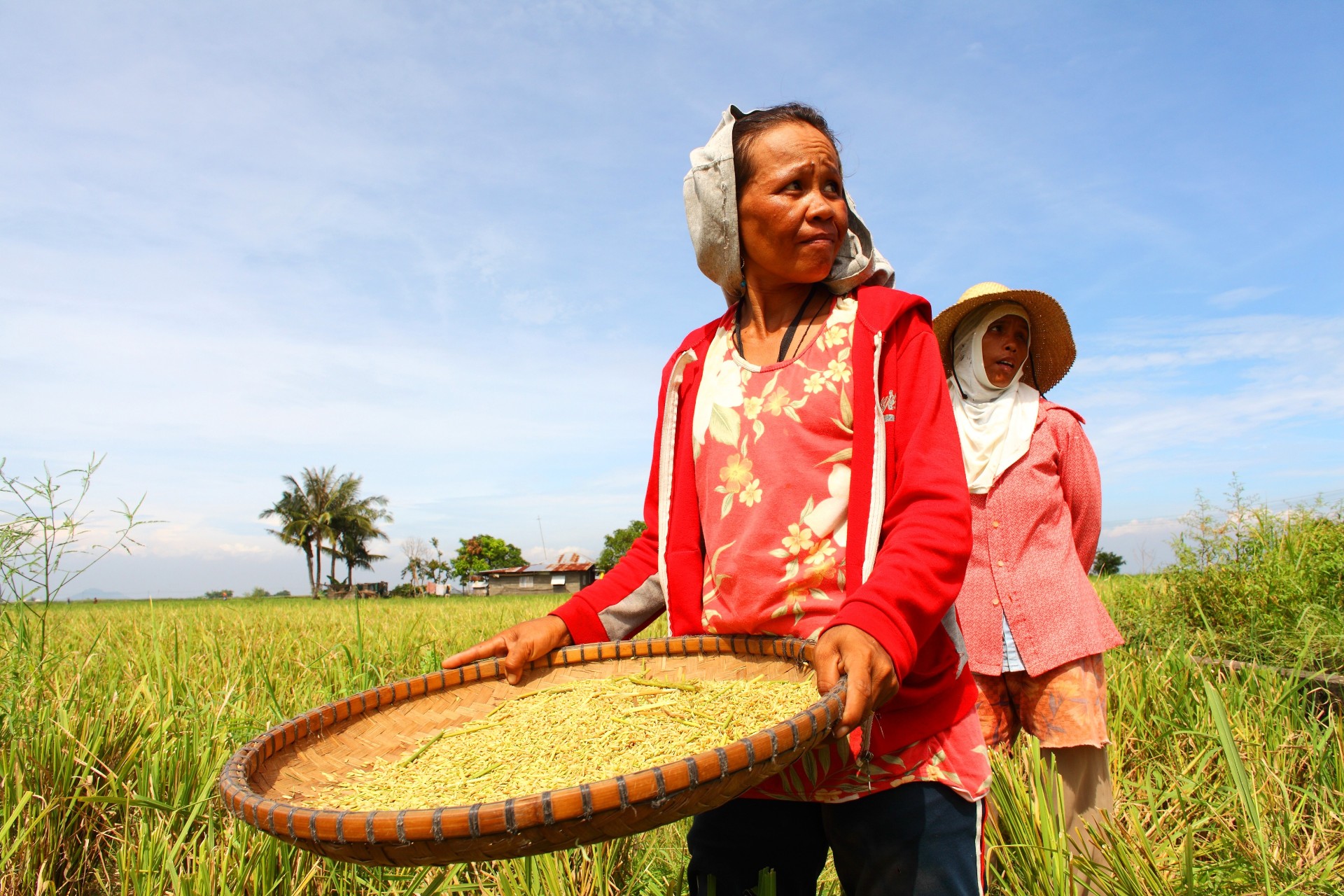 Two women, one carrying a clay tray, in fields in the Philippines