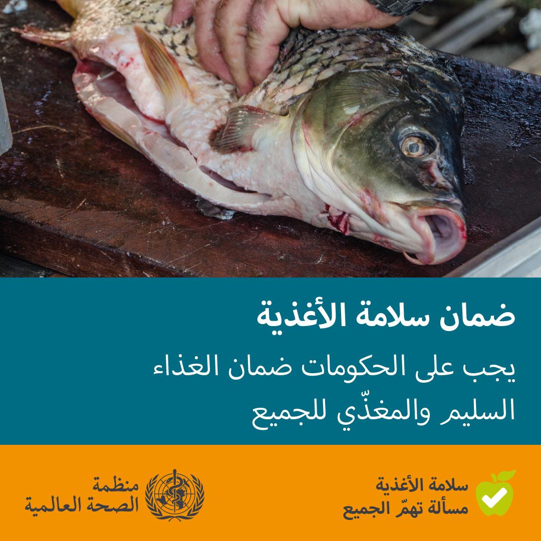 WHO-Ensure-its-Safe-1080x1080px-Arabic_final