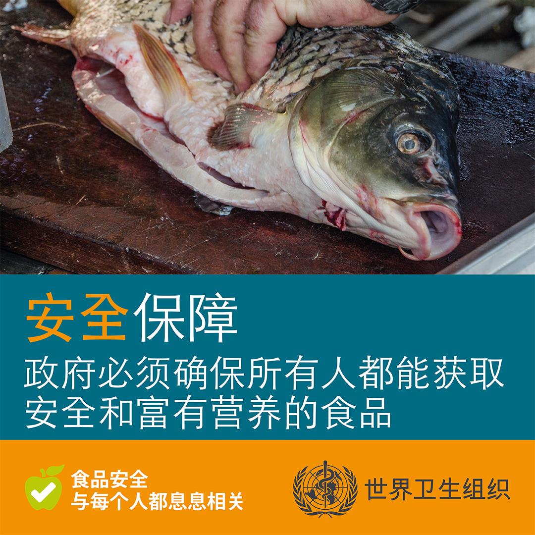 安全保障 安全保障
