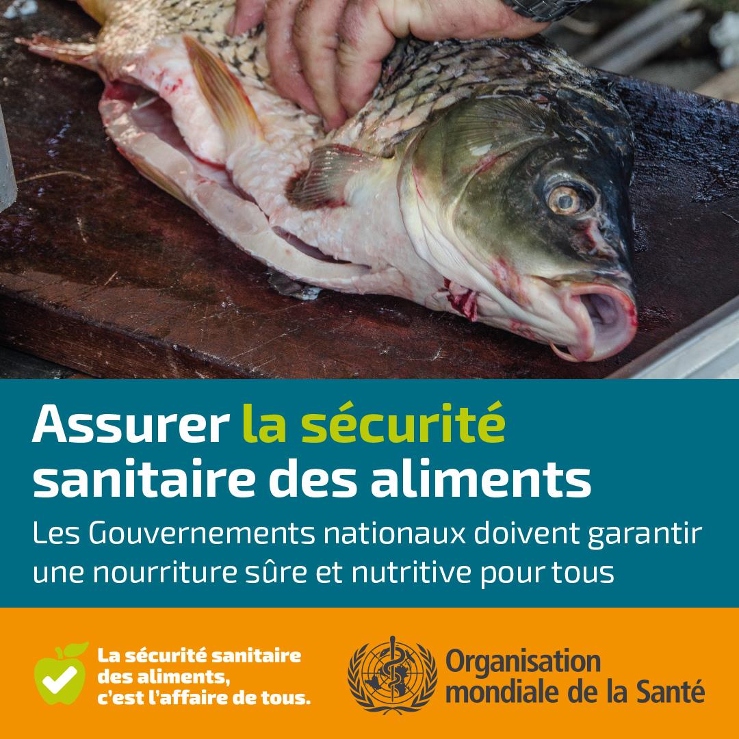 WHO-Ensure-its-Safe-1080x1080px-FRE_final