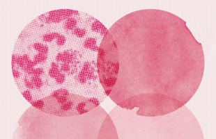 Cropped image of the cover of