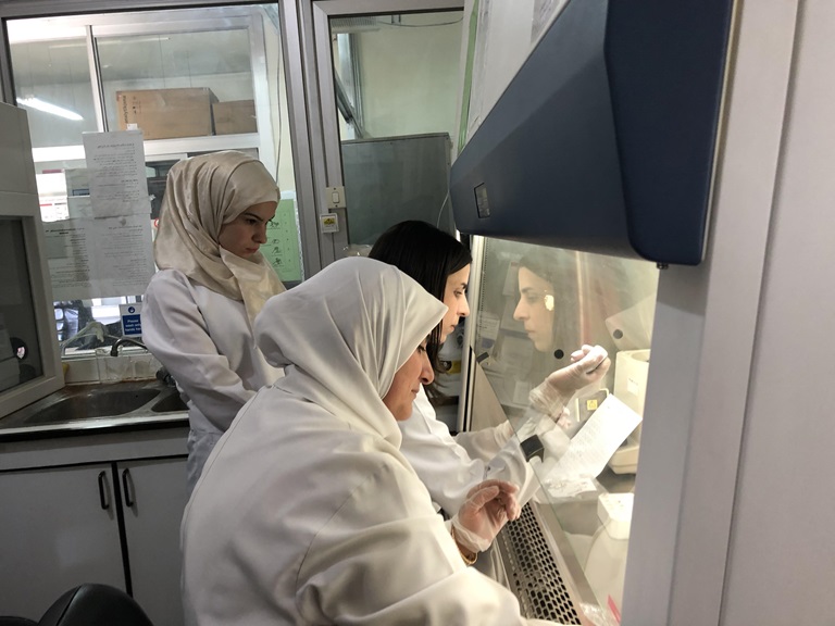 Health workers examine environmental samples at a polio laboratory in Damascus