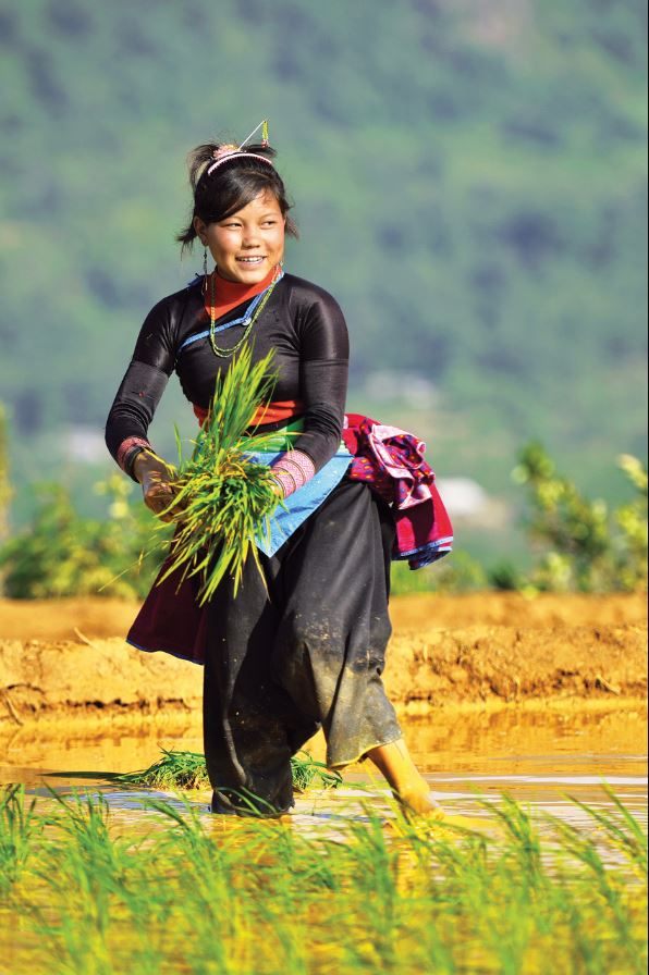 The state of food security and nutrition in the world 2018 publication cover