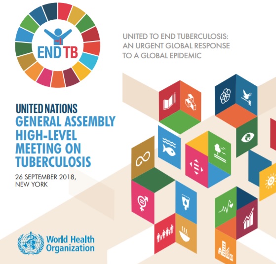 TB_fastfacts TB high-level event brochure