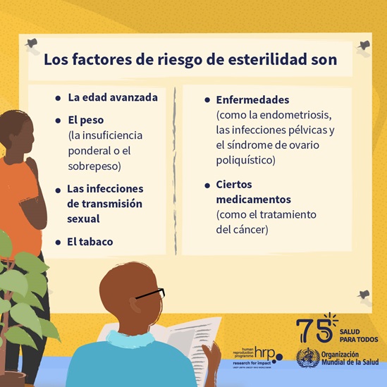 Infografía : Las causas de la esterilidad pueden afectar a uno o a ambos miembros de la pareja y a personas de todos los sexos.