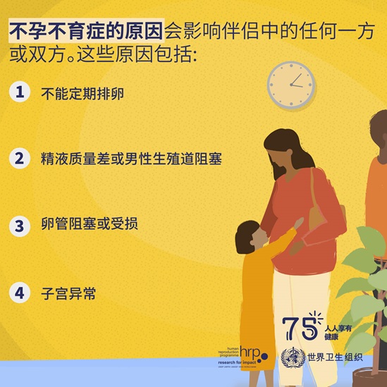 不孕不育症的原因会影响伴侣中的任何一方或双方以及所有性别的人。