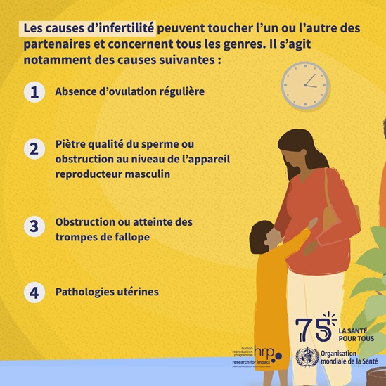 Infographie :  Les causes d’infertilité peuvent toucher l’un ou l’autre des partenaires