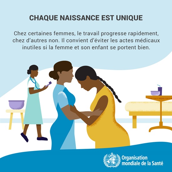 Infographie : chaque naissance est unique
